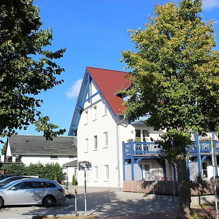 Seeanemone I * Graal-Mueritz