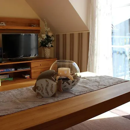 Seeanemone I Graal-Mueritz