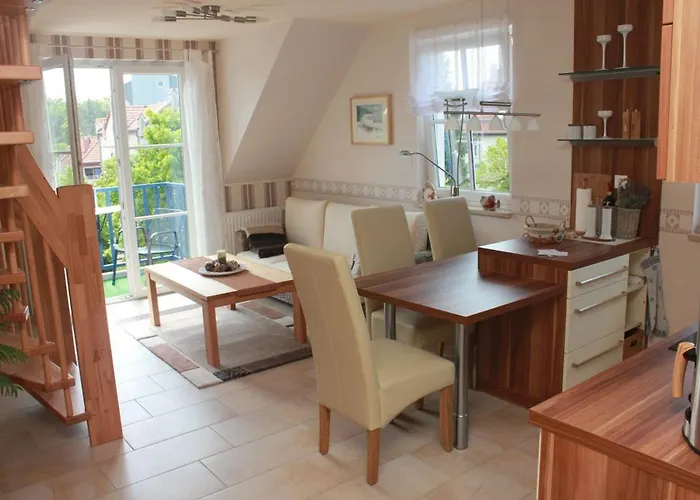 Seeanemone I Graal-Mueritz